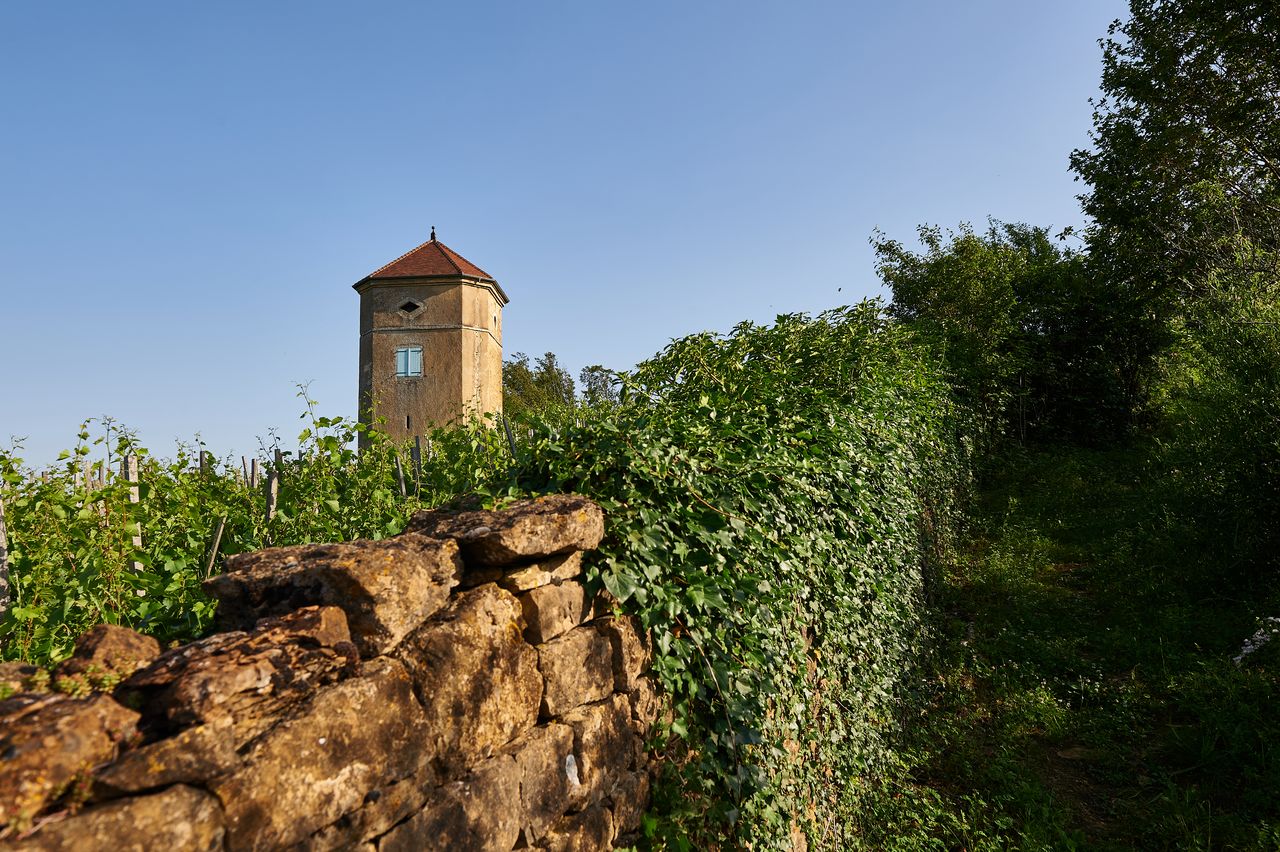 Communes Arbois Tour de Curon BI-0322